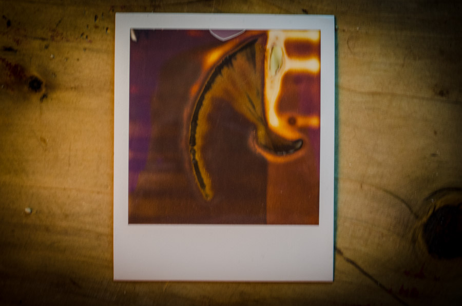Polaroids in the Style of Bacon