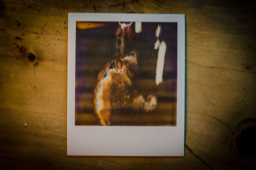 Polaroids made for Radio