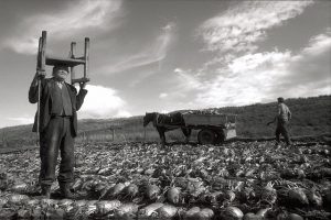 Dudley in andrew kottings "this Filthy earth"