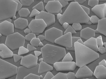 photosensitive silver halide grains under an electron microscope