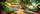 poolpanorama