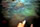 rockpool-feet
