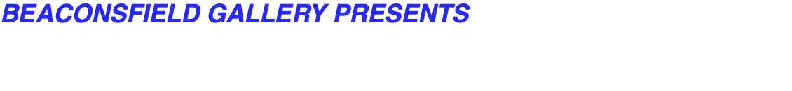 BEACONSFIELD GALLERY PRESENTS simon tyszko: the unfunfair* *: the exhibition contains very high voltages in excess of 10,000 volts, electronic noises, extended resonant frequencies, and seductive lightiing,