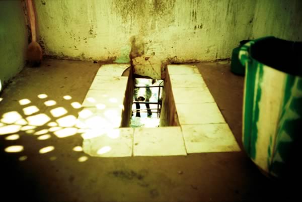 pig-toilet