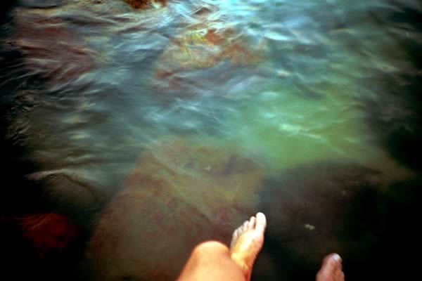 rockpool-feet