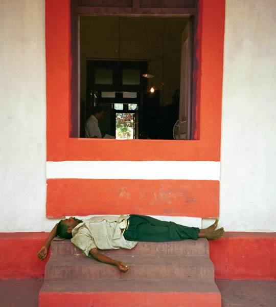 sleepingcrop