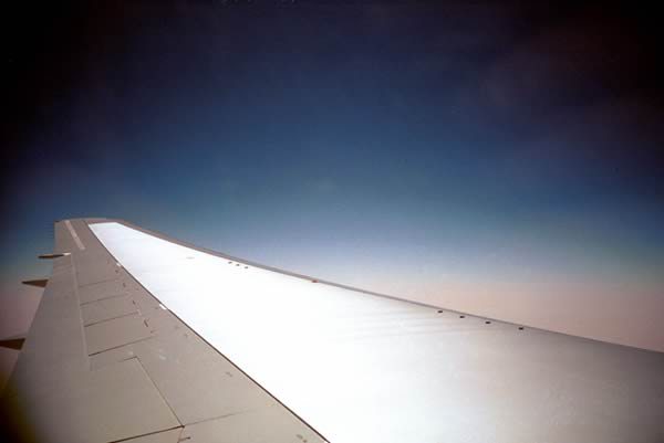 wing