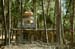 forestemple
