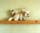 dogoverdog-crop