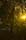 light-woods-test055