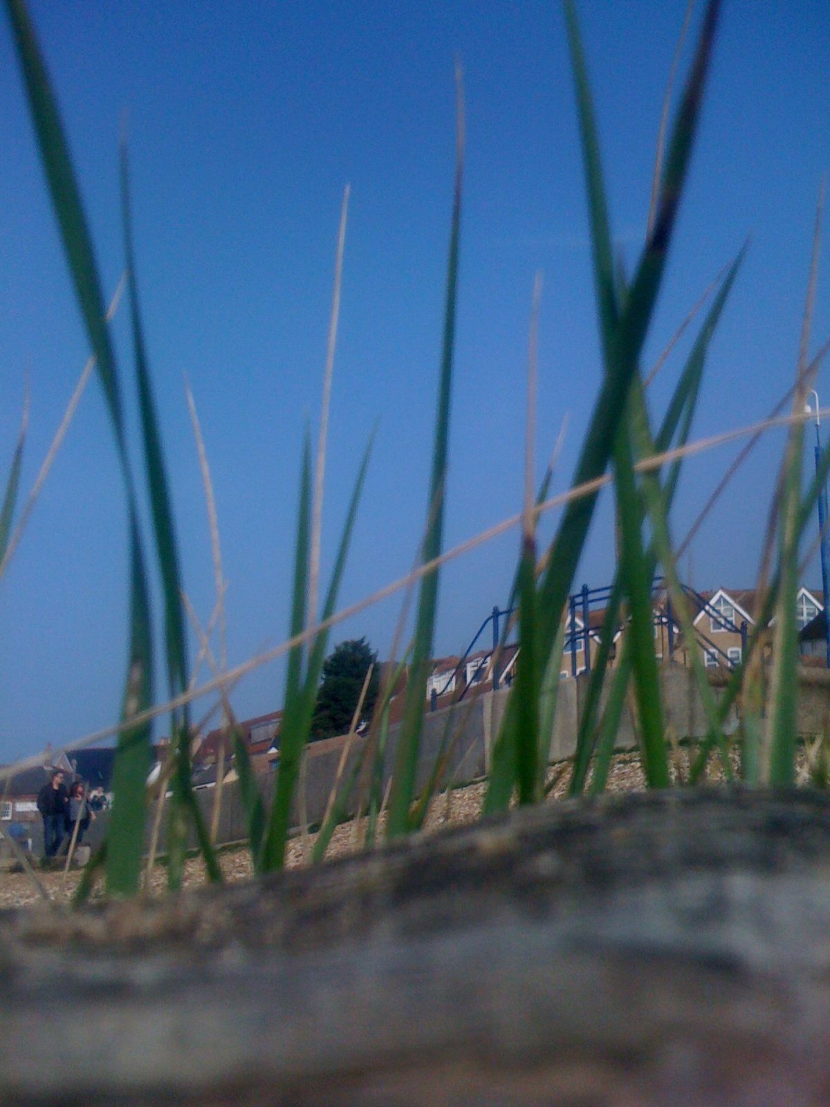 by the seaside beside the sea