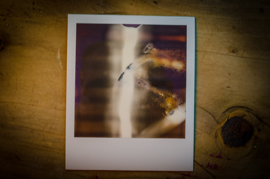 Polaroids in the Style of BaconPolaroids in the Style of Bacon
