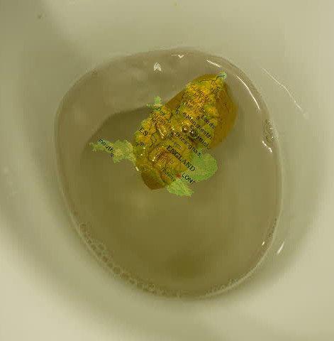 brexit-flush