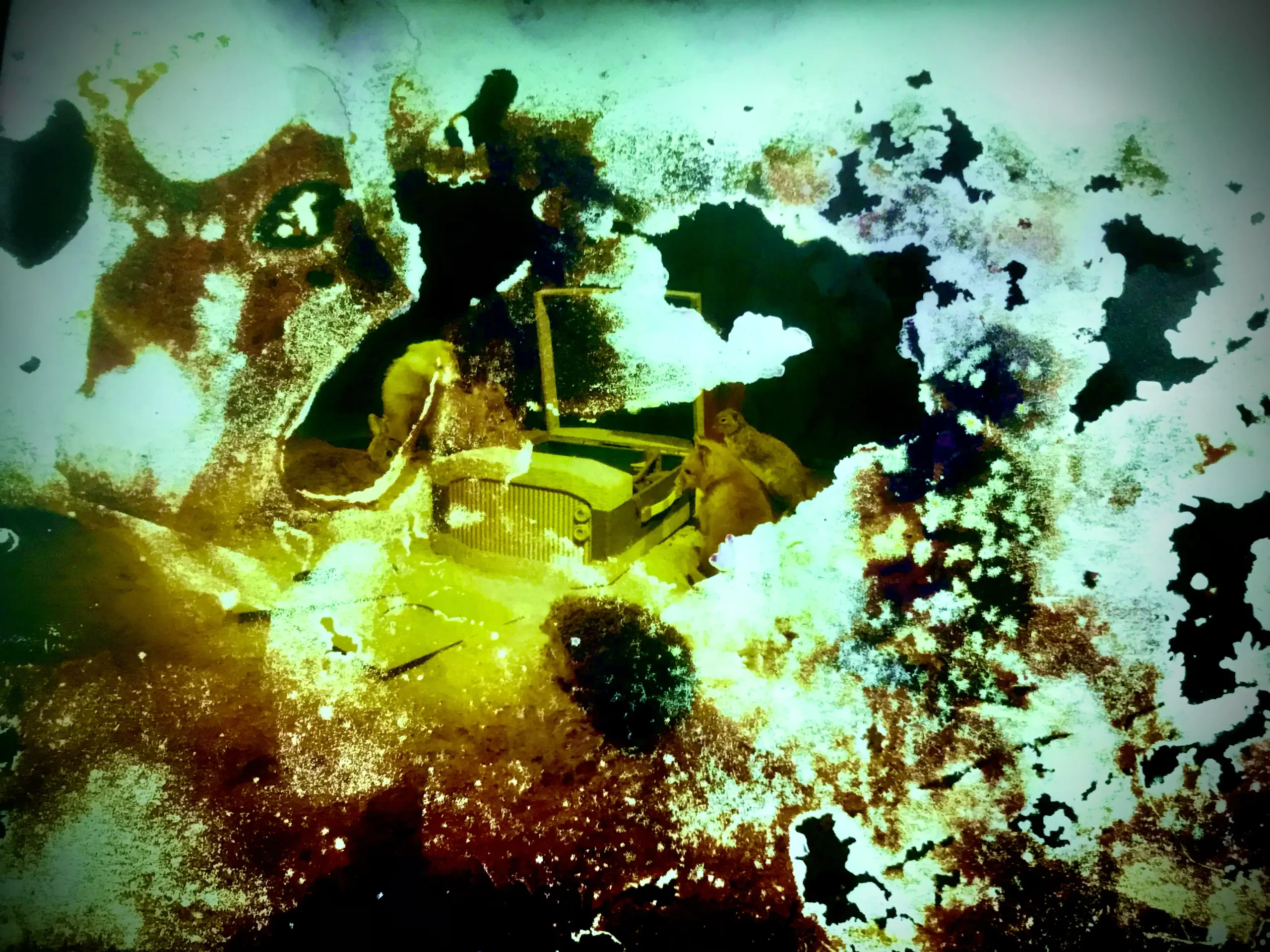 spectral snap crackle pop and echo - Isotopica